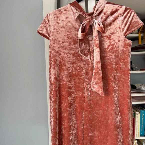 madewell pink velvet dress Madewell NWT Pink Velvet Dress